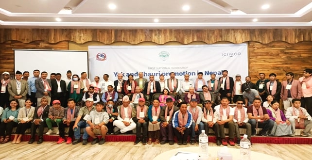 याक तथा चौरी ब्यवसायी संघ नेपालको गतिबिधीहरु तस्बिरमा