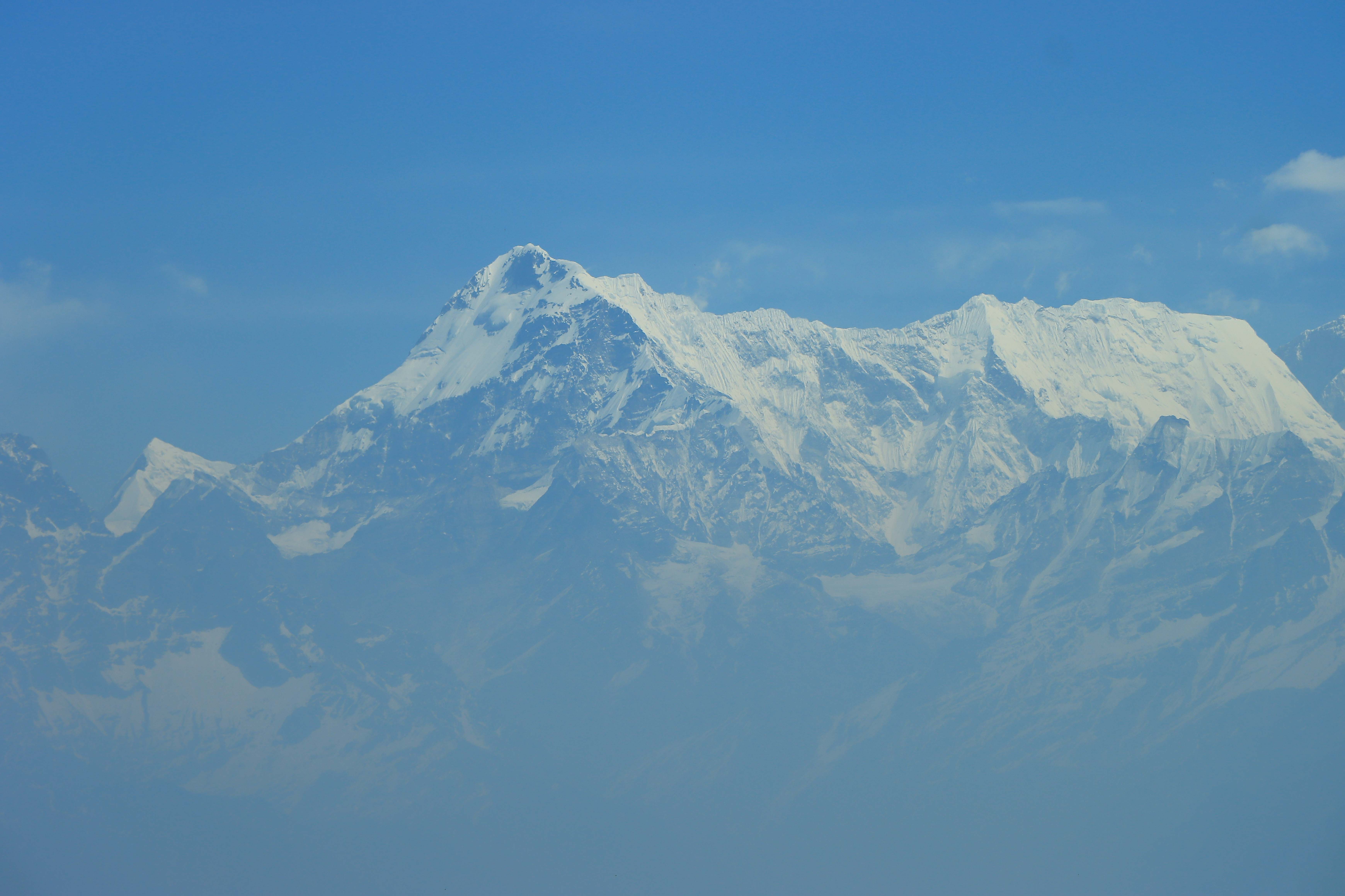 Study and Research on Yak and Yak Products