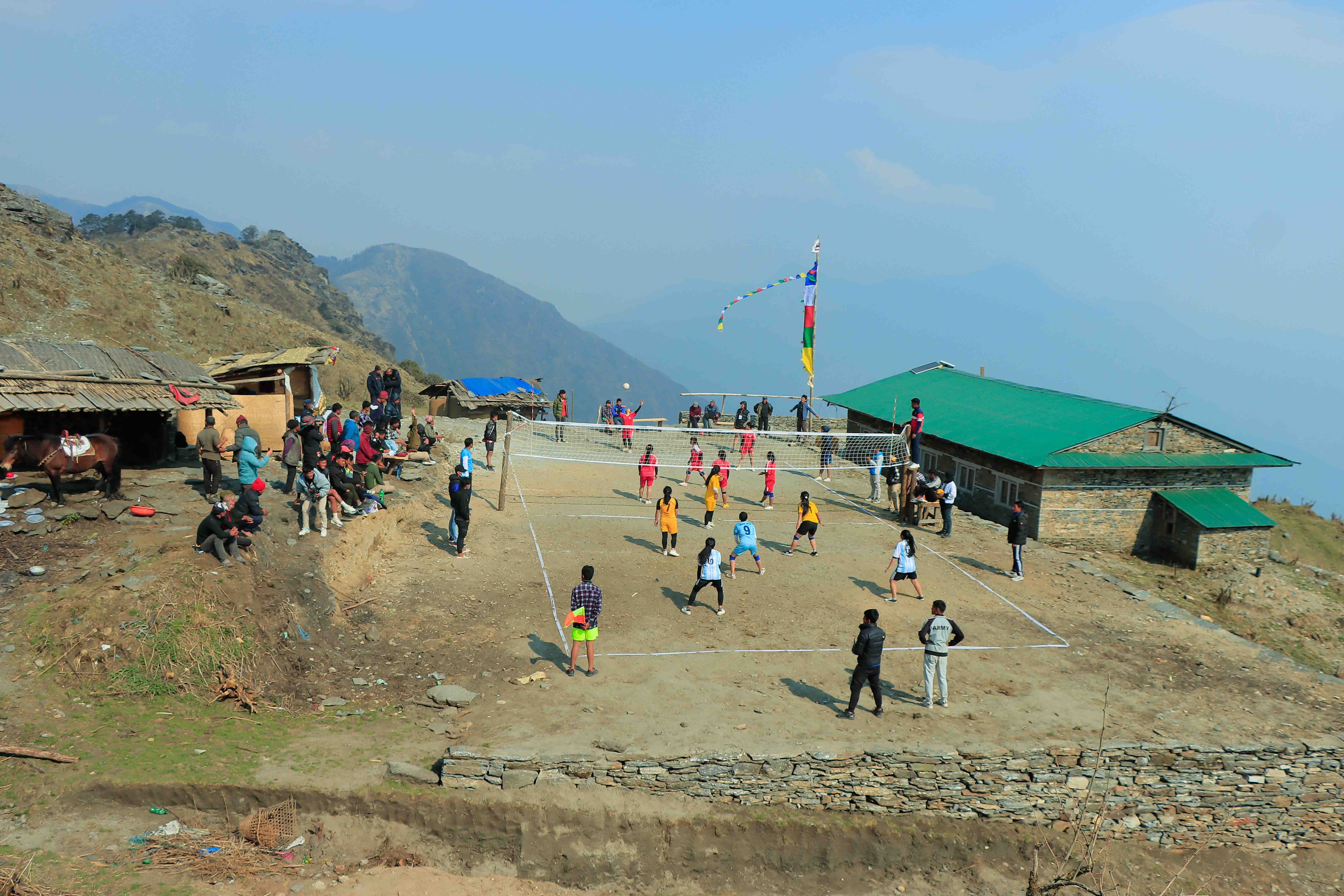 Reforestation Program